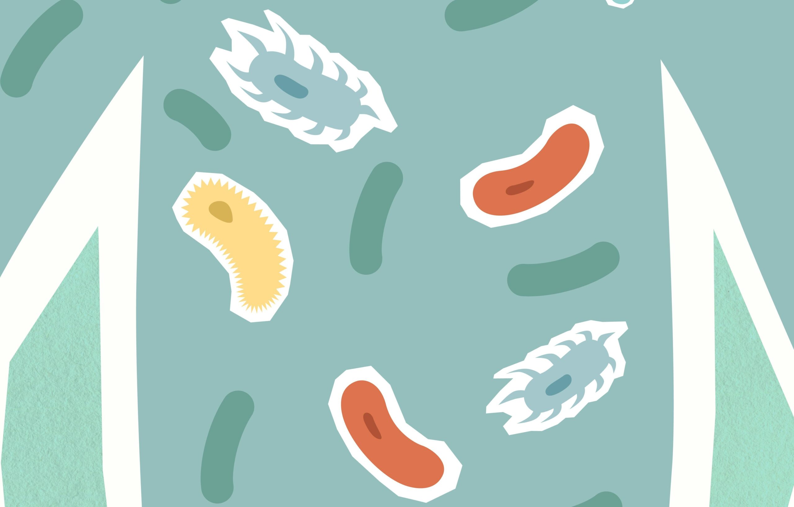Microbiota Intestinal e Emagrecimento: Guia Completo
