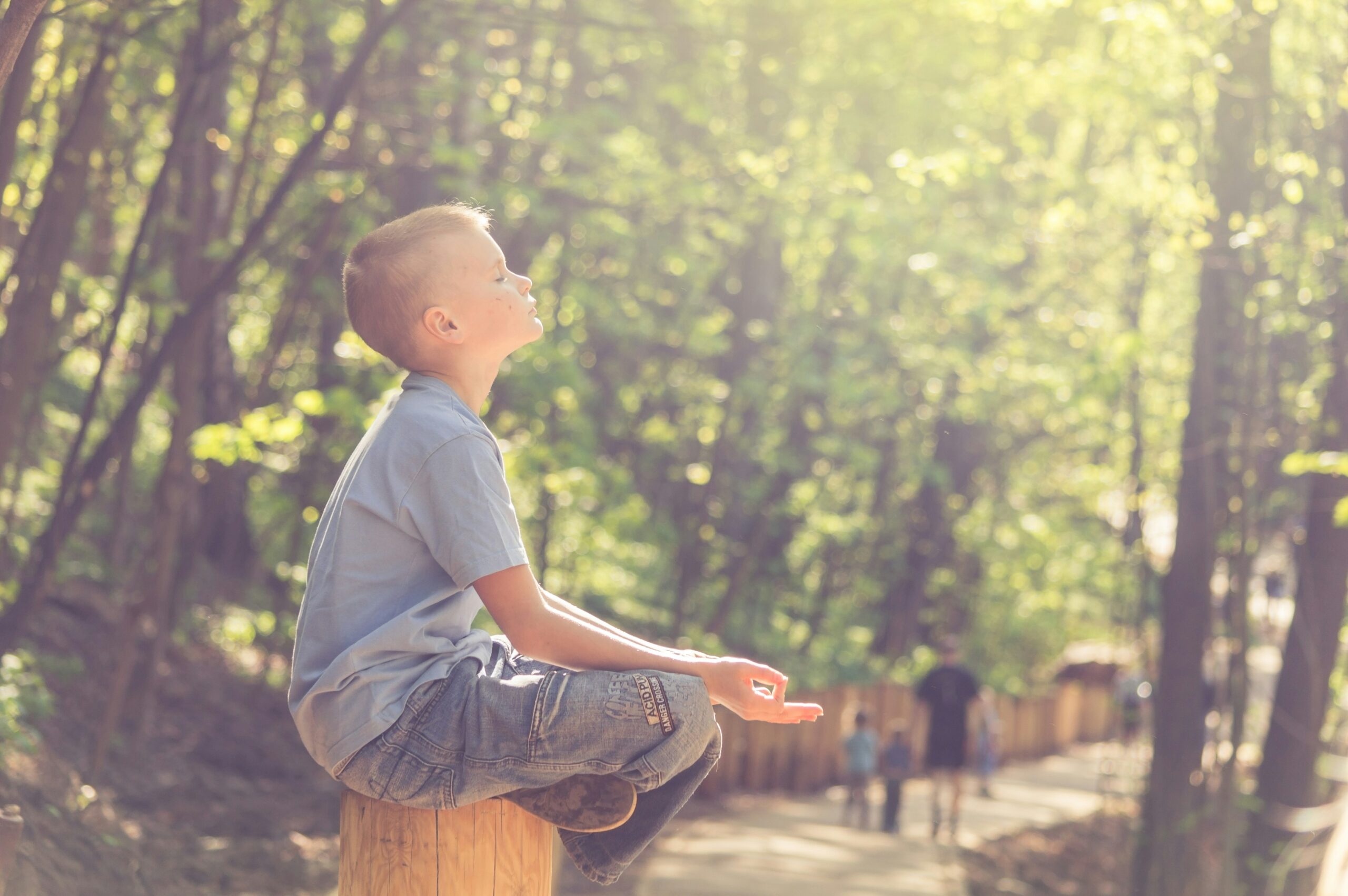 Homem jovem meditando sentado em posição de lótus ao ar livre em parque com luz solar filtrada pelas árvores